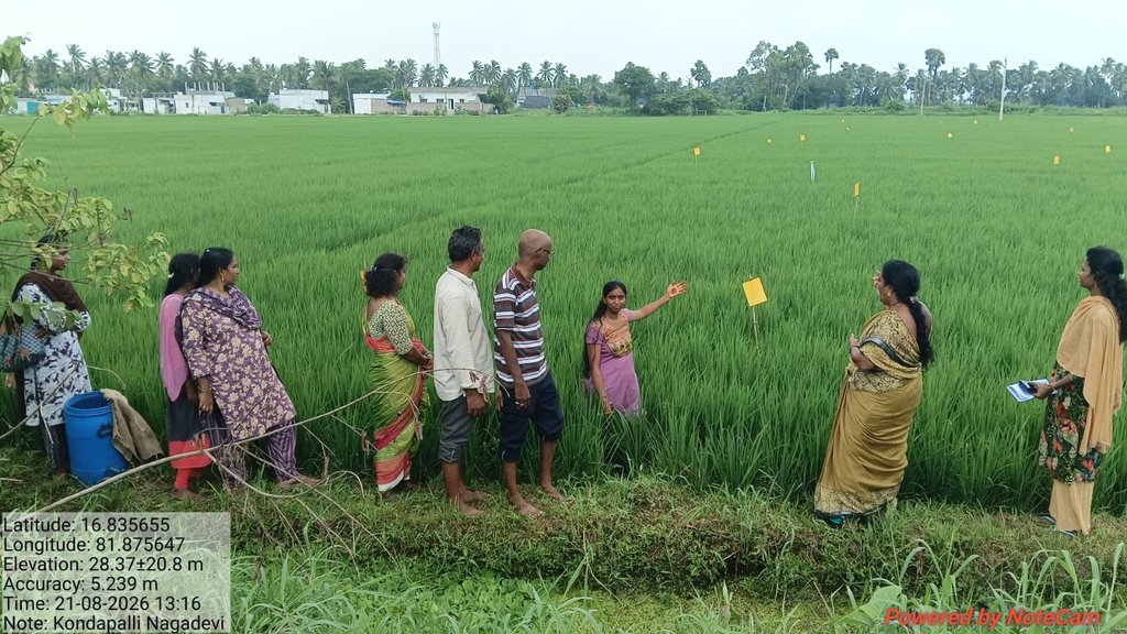 ప్రకృతి వ్యవసాయ పద్ధతిలో వివిధ పంటల సస్యరక్షణ - Cover Image